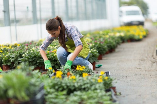 Front view of gardeners discussing a garden project