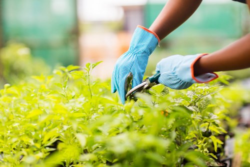 Team clearing a medium-sized city garden with piles of green waste