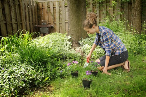 Garden maintenance crew assessing a garden layout